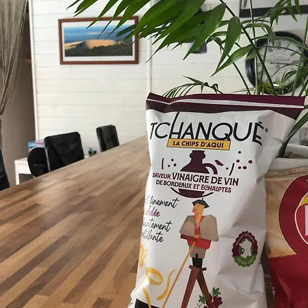 Lumineuse, Et Jardin Et Piscine Privatifs, Tv Connectee * 欧当日